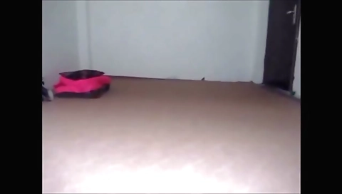 Free Arab Porn Videos - upkarmasala.com